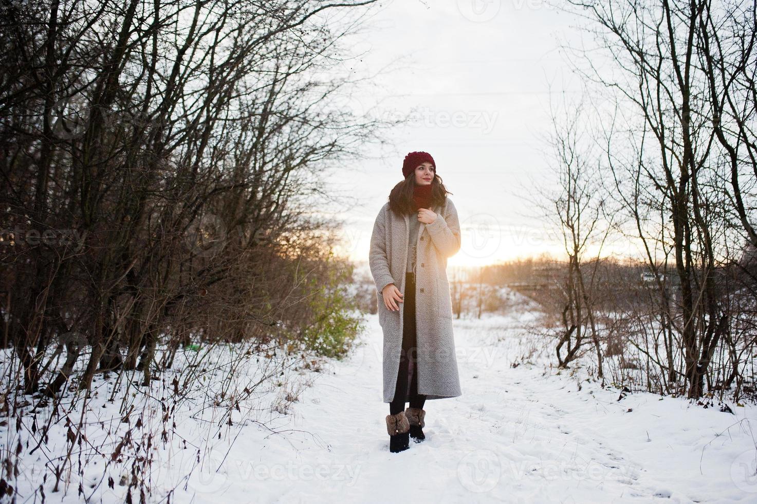 Porträt eines sanften Mädchens in grauem Mantel, rotem Hut und Schal in der Nähe der Äste eines schneebedeckten Baums. foto