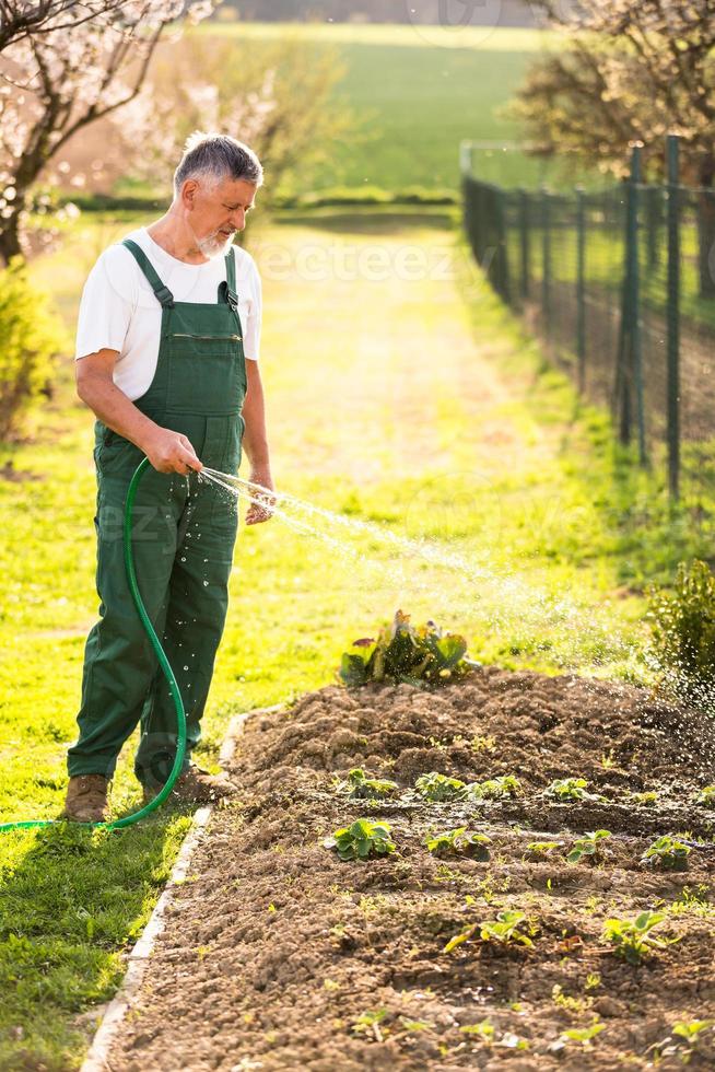 Porträt eines schönen älteren Mannes Gartenarbeit foto