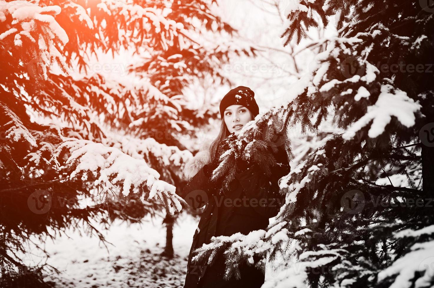 schönes brünettes Mädchen in warmer Winterkleidung. Modell auf Winterjacke und Hut in der Nähe von Pinien. foto