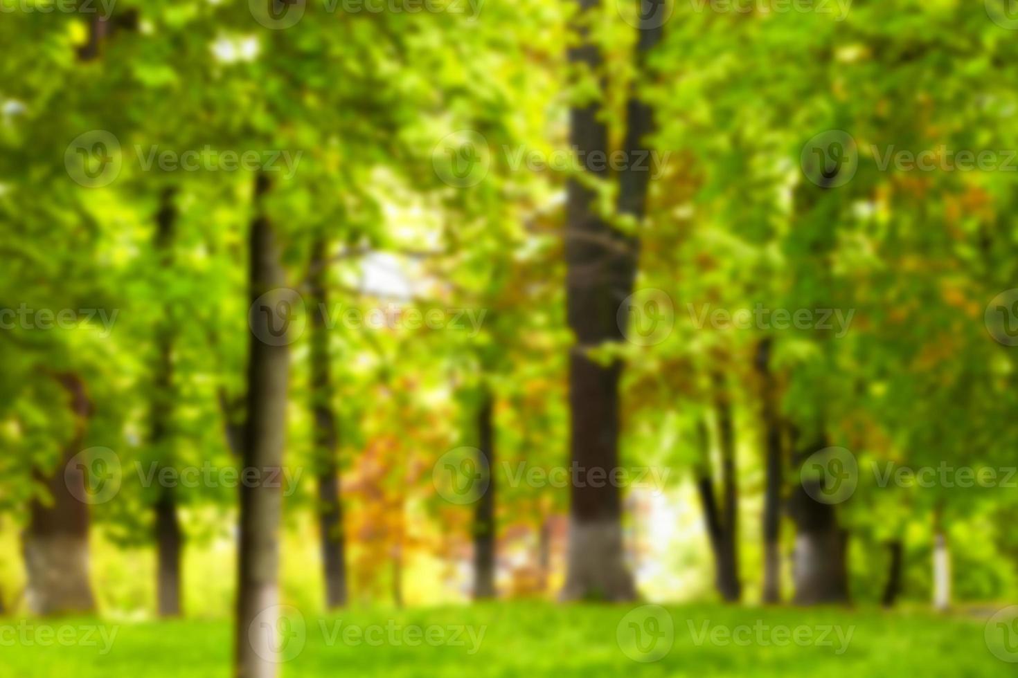 Unschärfe Park mit Bokeh hellem Hintergrund, Natur, Garten, Frühling und Sommer Saison. Unscharfer Hintergrund. foto