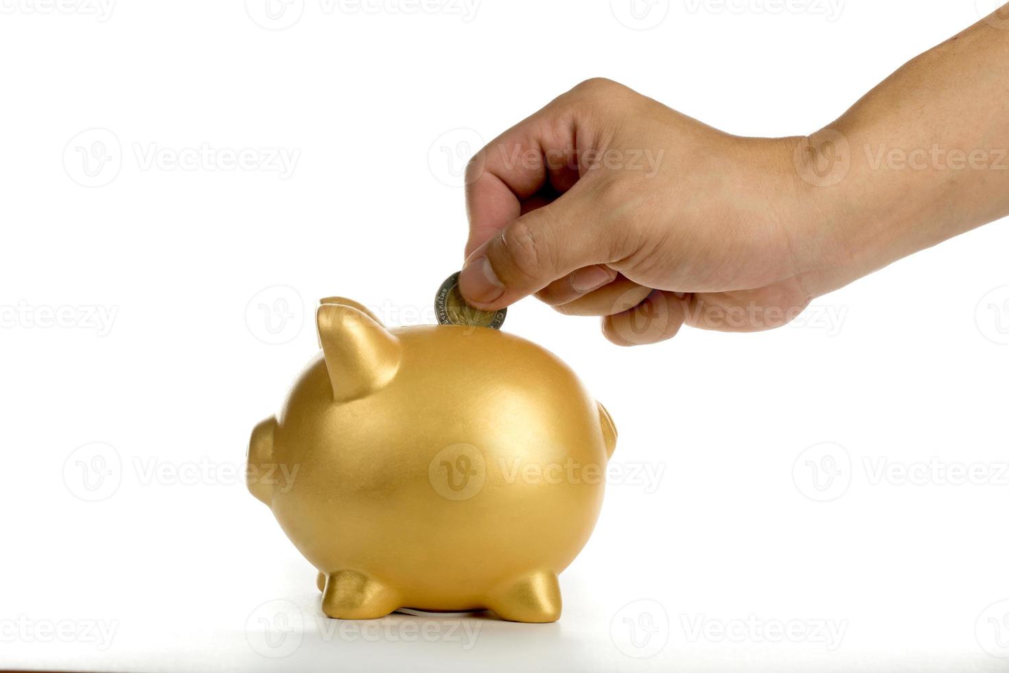 Sparschwein erhöht Ihre Finanzen wächst foto