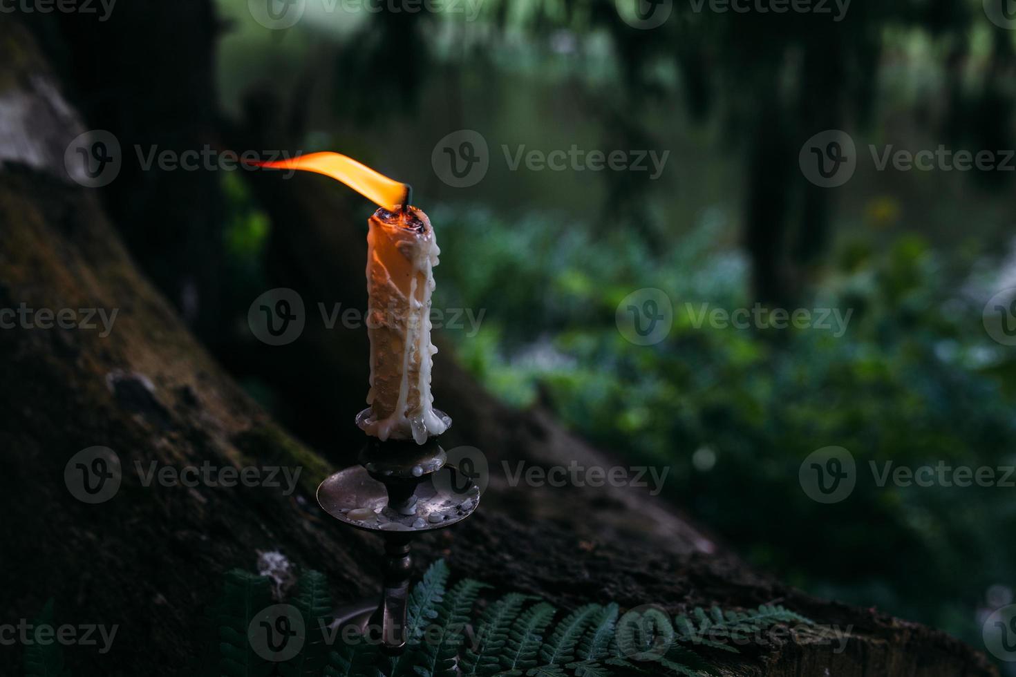 brennende Kerze im Zauberwald. okkultes, esoterisches Konzept. foto