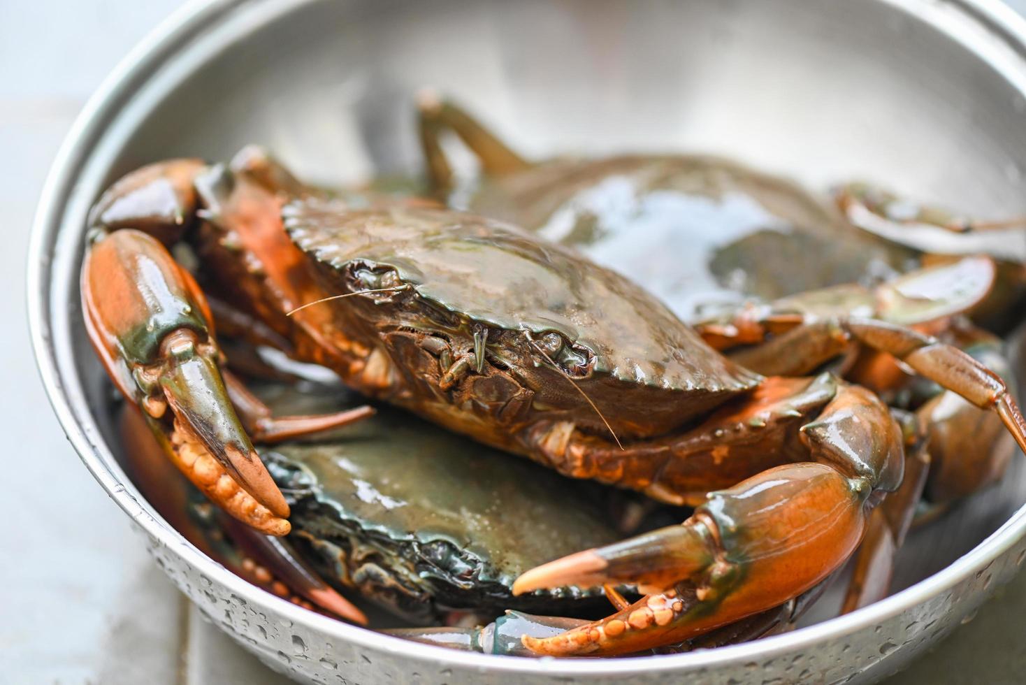 rohe Krabbe auf Topf, frische Schlammkrabbe zum Kochen von Speisen im Fischrestaurant foto