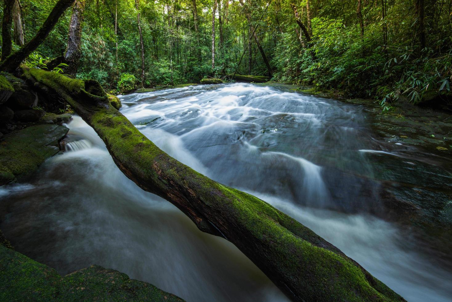 Bergfluss Bach Wasserfall grüner Wald Landschaft Natur Pflanze Baum Regenwald Dschungel kleiner Wasserfall mit Felsen grün mos foto