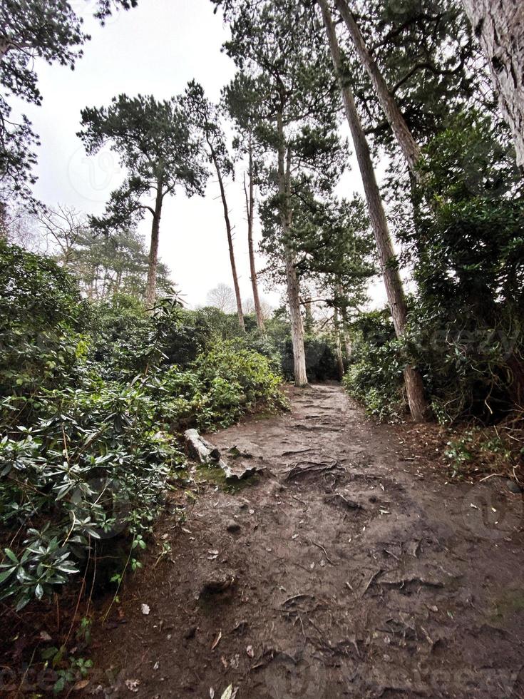 ein Blick auf die Landschaft von Shropshire in Hawkstone im Winter foto