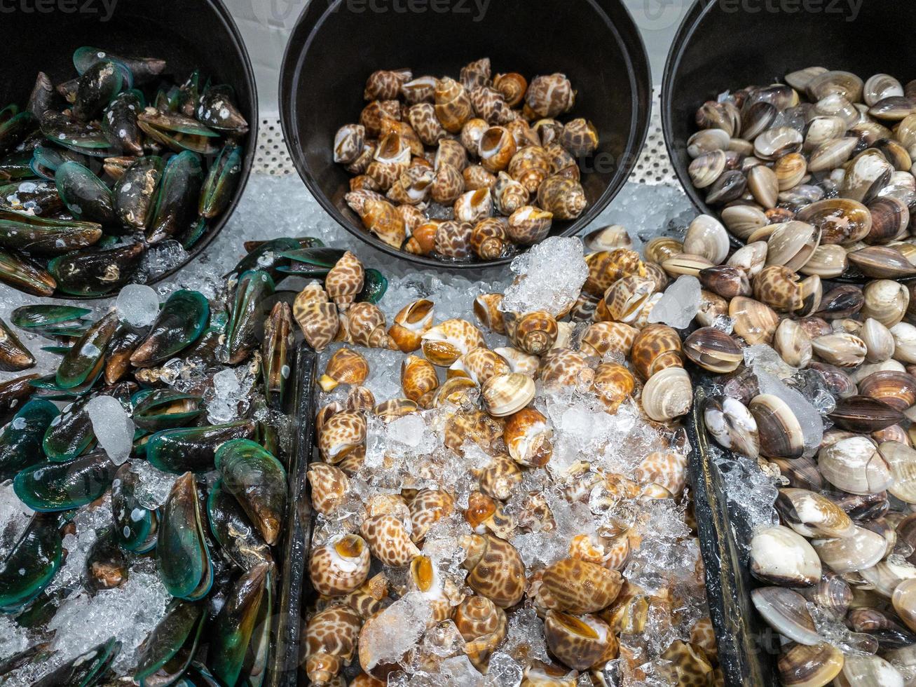 Gruppe der frischen Muscheln in der Plastikschale mit zerstoßenem Eis. foto