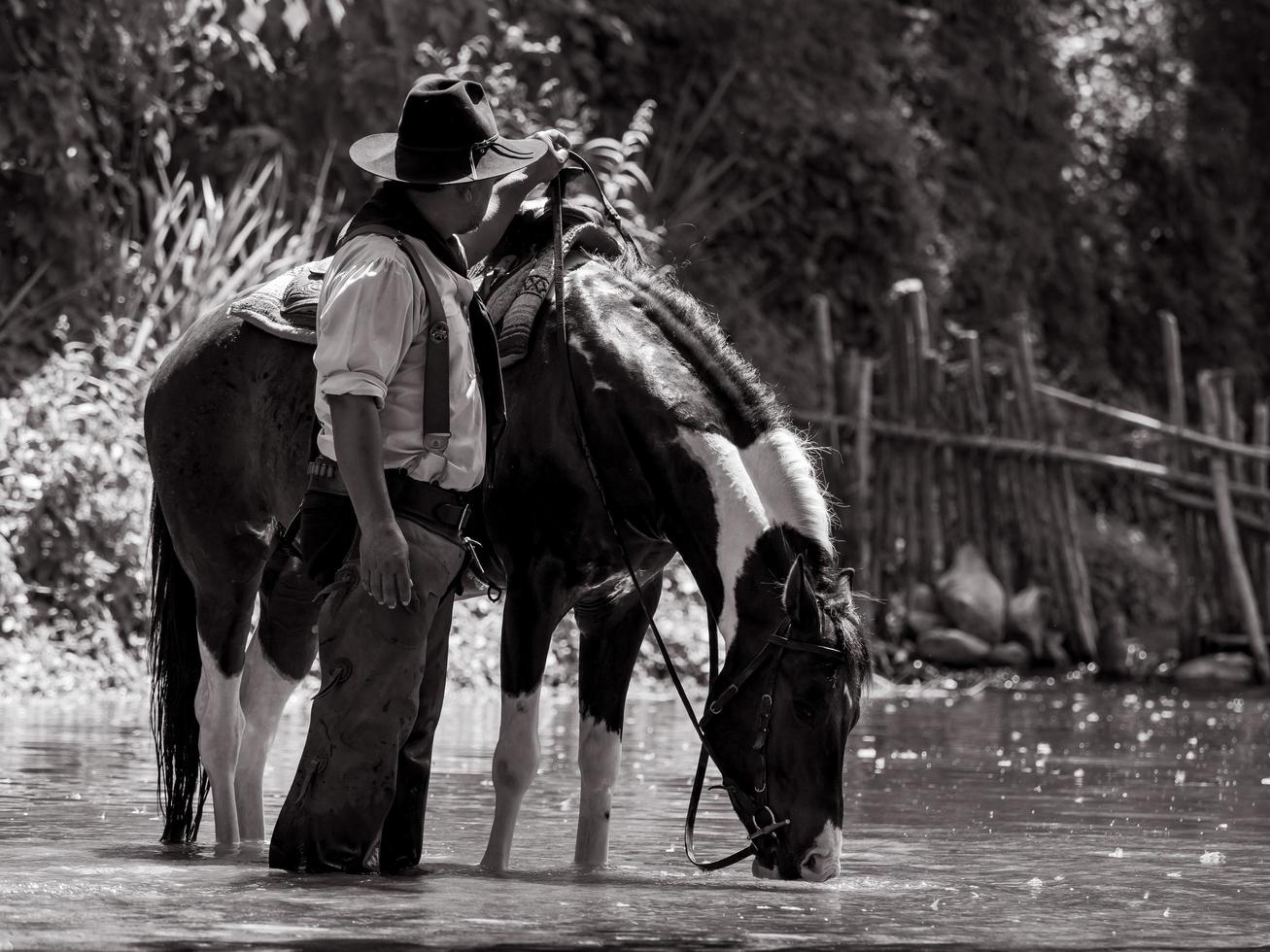 Ältere Cowboys ruhten sich mit Pferden aus und standen im Fluss, um zu baden foto