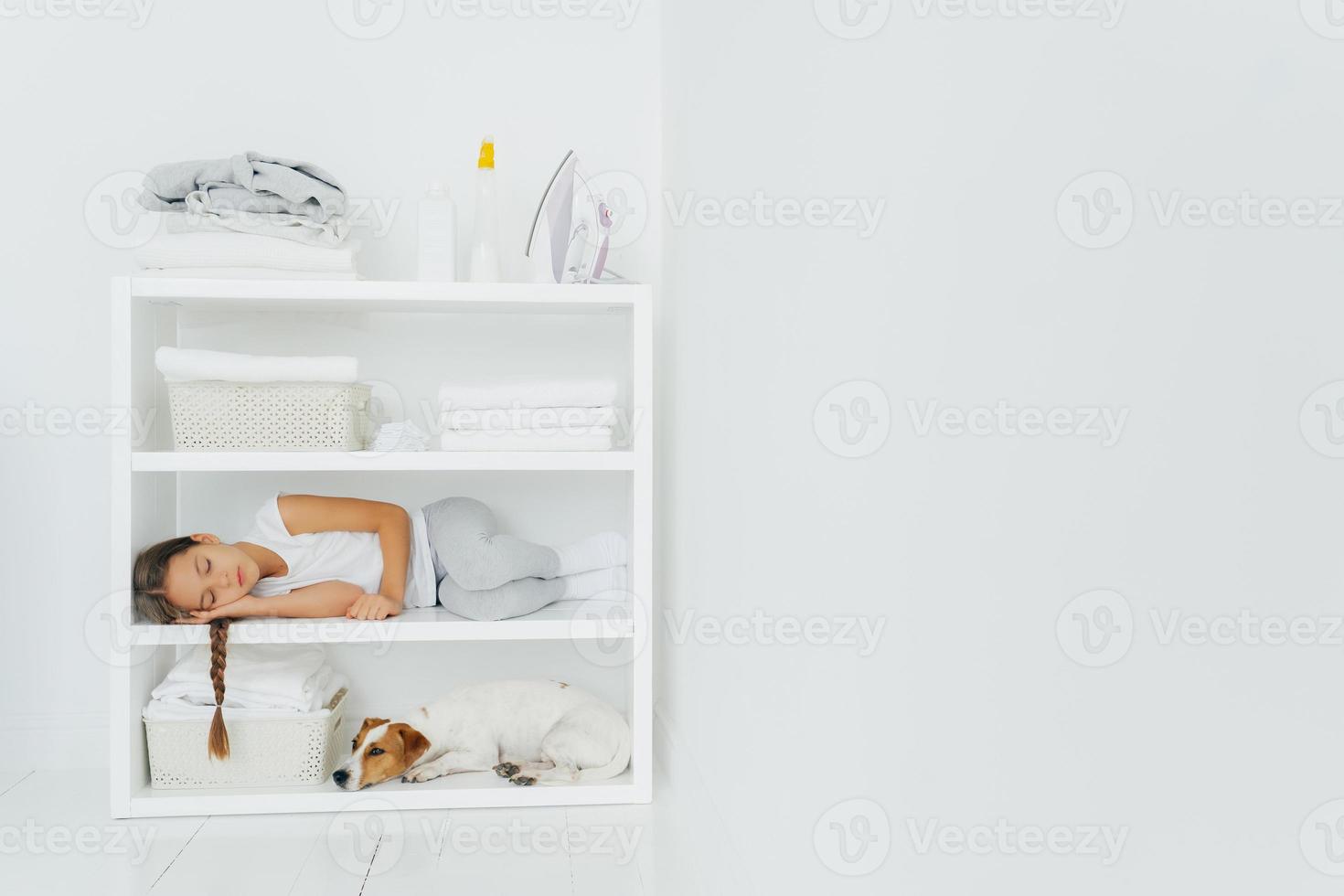 horizontale aufnahme eines erholsamen mädchens liegt auf konsole mit hund, ruht sich nach dem falten von handtüchern im waschraum aus, schläft nach hausarbeit ein, weiße wand, kopierraum auf der linken seite für ihre werbeinhalte foto