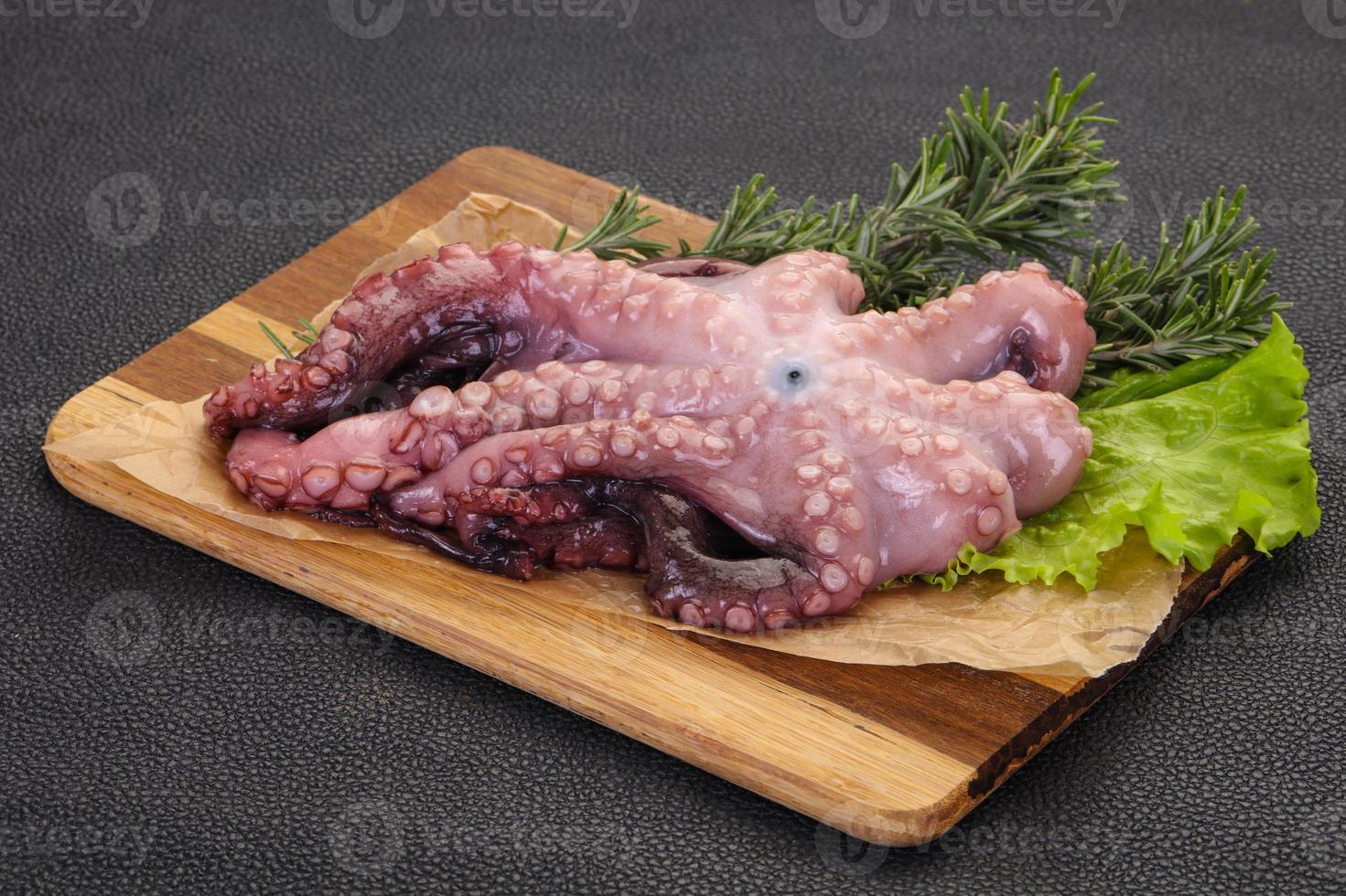 Roher Oktopus bereit zum Kochen foto