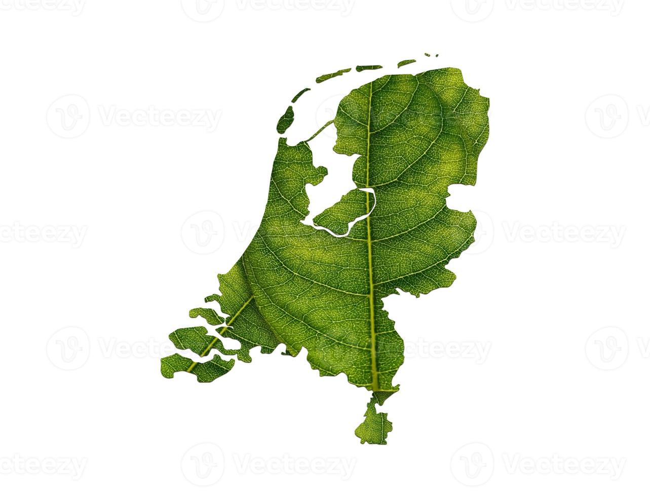 niederlande karte aus grünen blättern auf bodenhintergrund ökologiekonzept foto