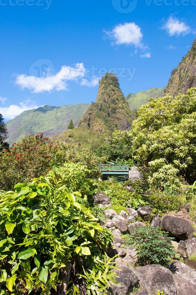 Iao Valley State Park foto