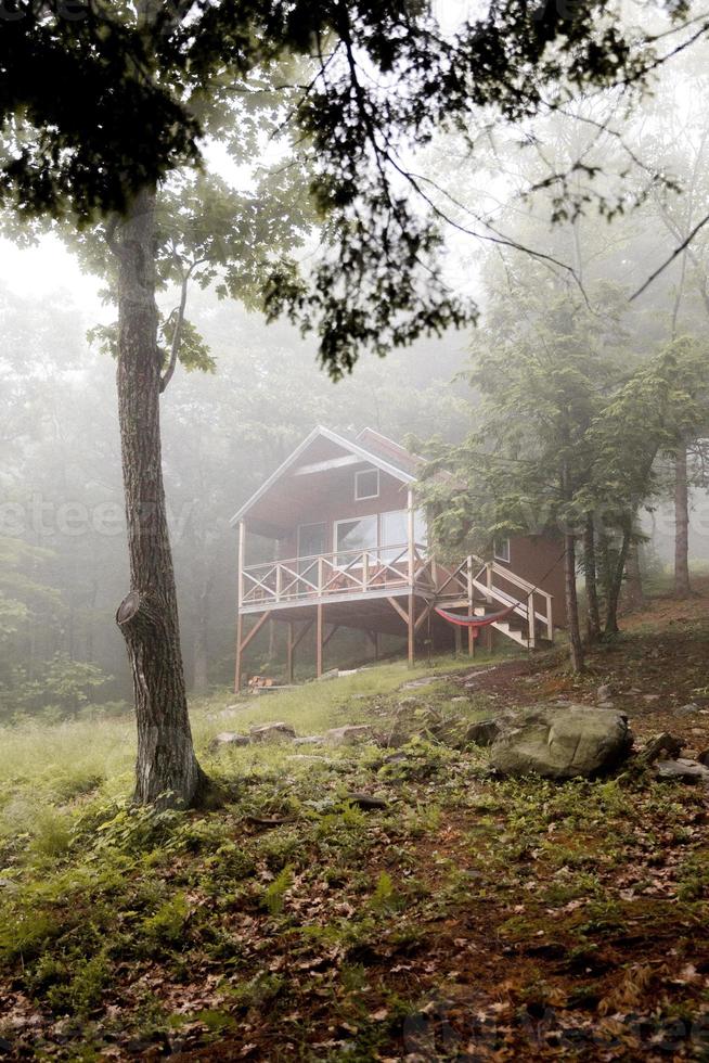 Hütte im nebligen Wald foto
