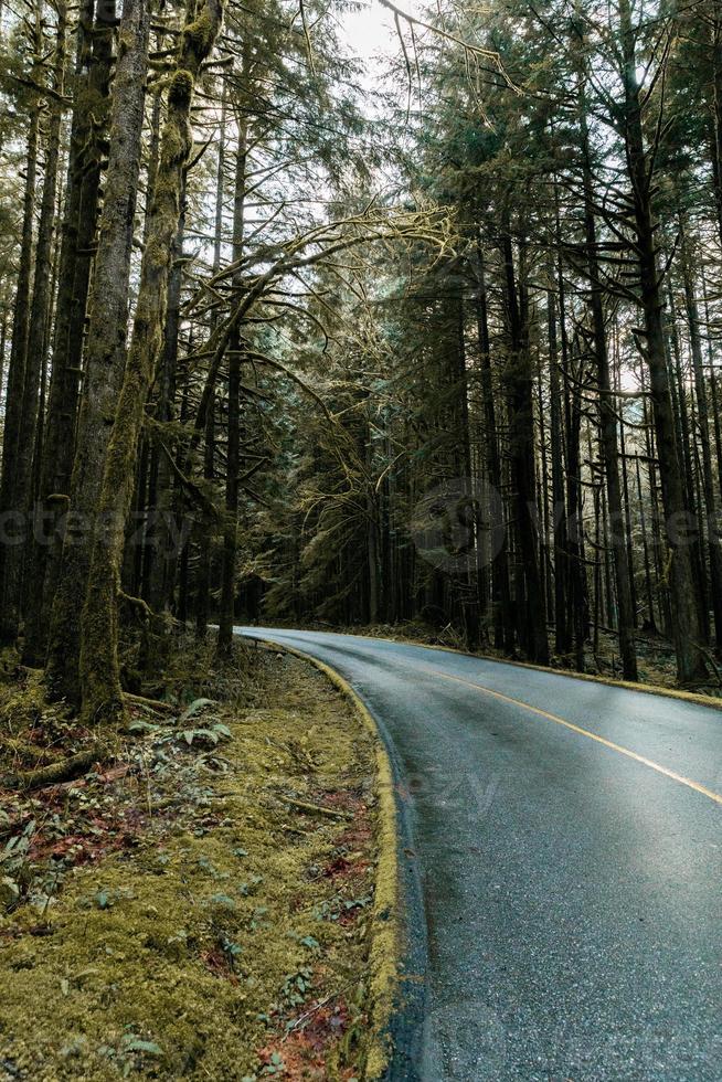 Straße im Wald foto