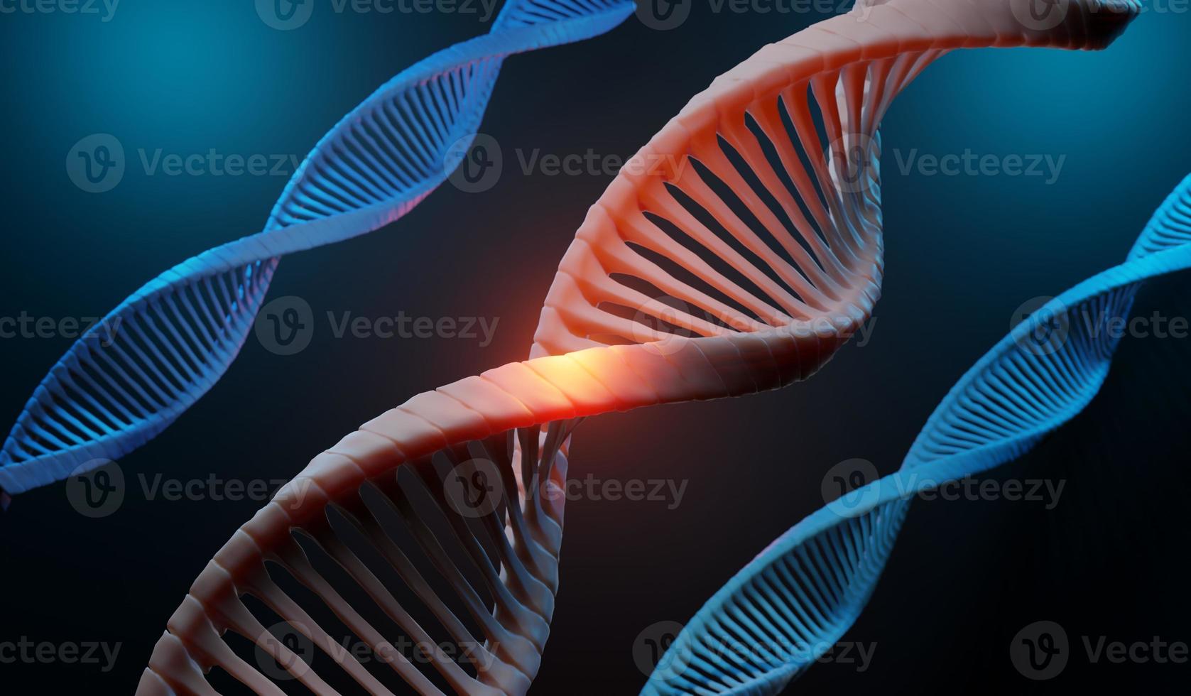 3D-Darstellung Helix Komplementärstrang von dna von rna. Sequenzen genetischer Code oder Genom. Genexpression. Nukleotid Datenbank. der zentrale dogmatische Prozess der Transkription und Übersetzung. menschliches Gen. foto