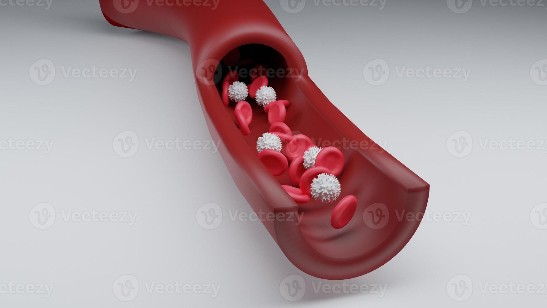 rotes Blut und weiße Blutkörperchen im Blutkreislauf. medizin und biologie wissenschaftliche forschung, rote blutkörperchen in venen oder arterien, fließen in einen lebenden organismus. foto