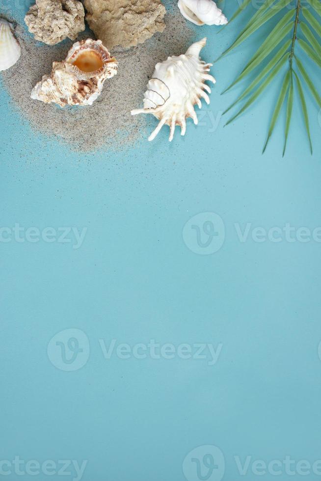 Sommerkomposition. tropische palmblätter, muscheln auf blauem hintergrund. Sommerkonzept. flache Lage, Draufsicht, Kopierbereich foto