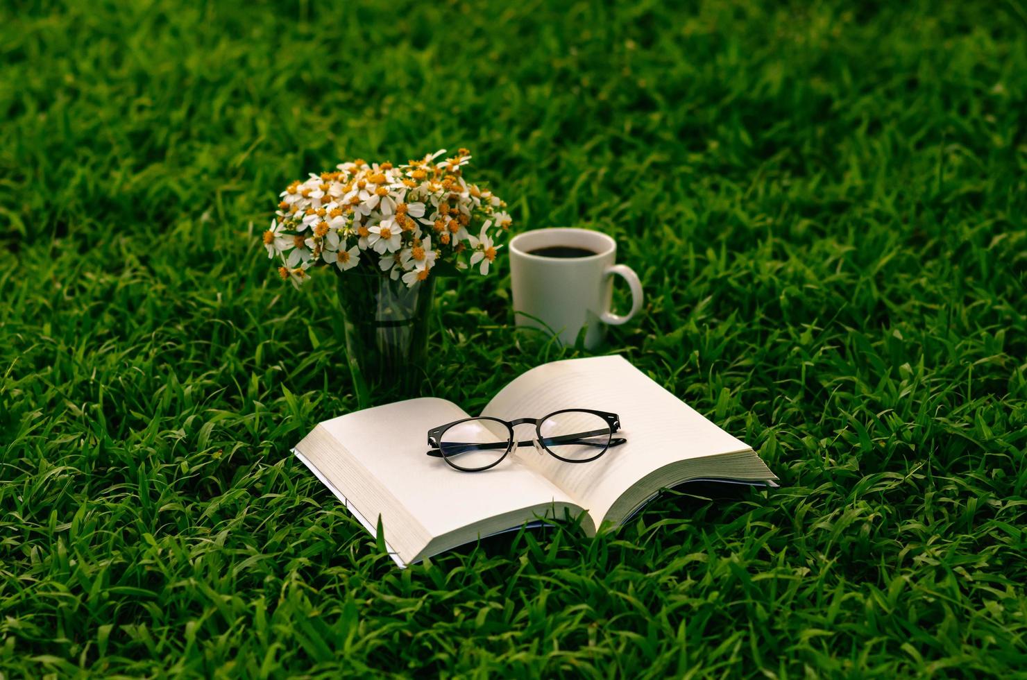 Freizeit am Morgen im Garten mit Kaffee, Buch und Blumen auf dem Rasen. foto