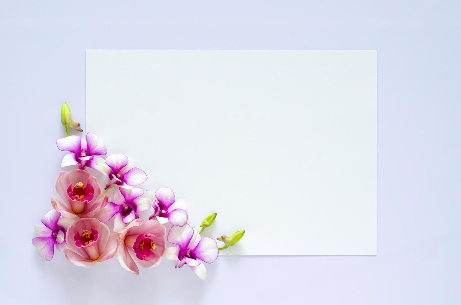 leeres weißes papier für text mit orchideenblüte auf pastellviolettem hintergrund. foto
