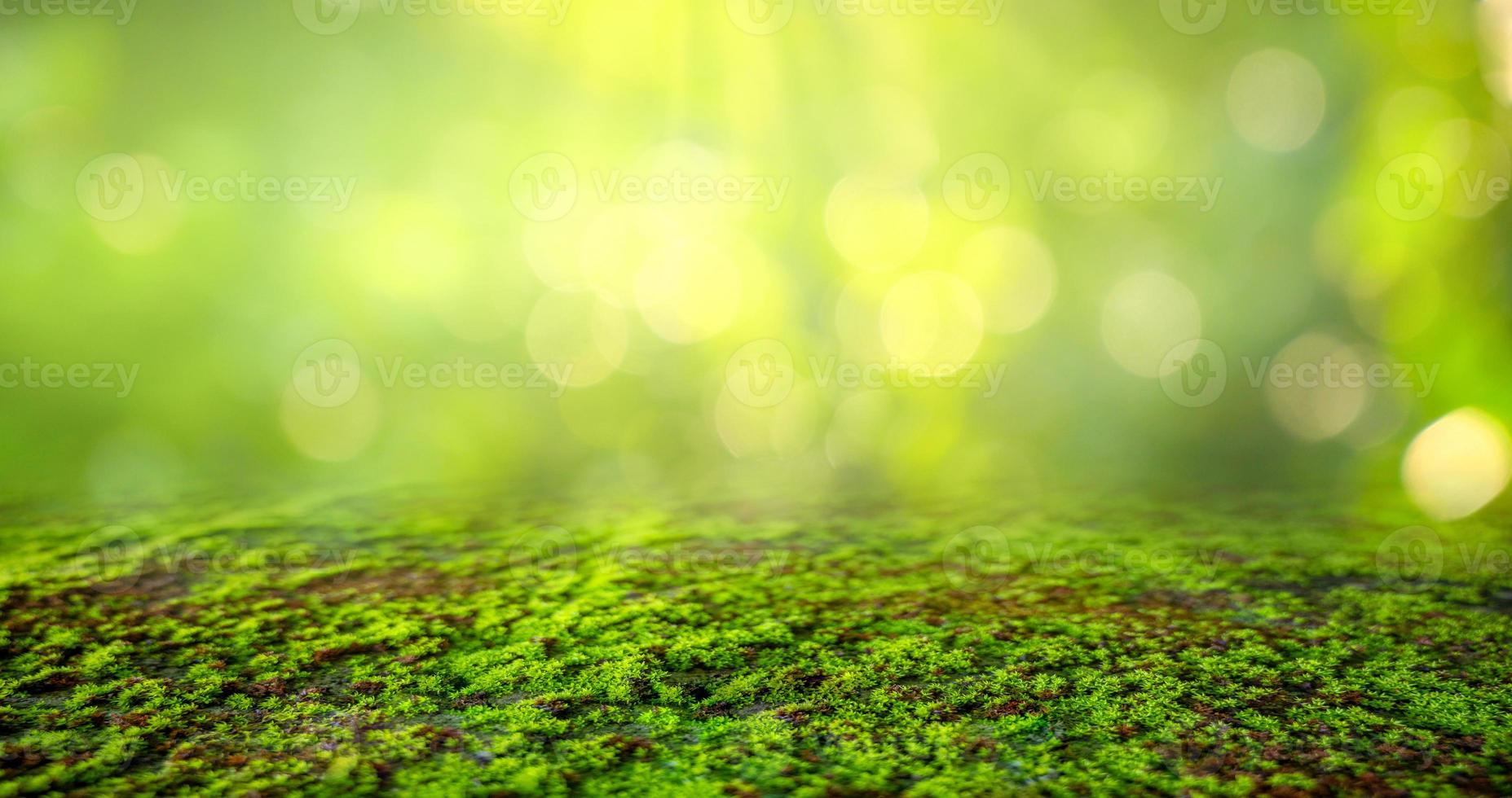 grüner Mooshintergrund, moosige Textur foto