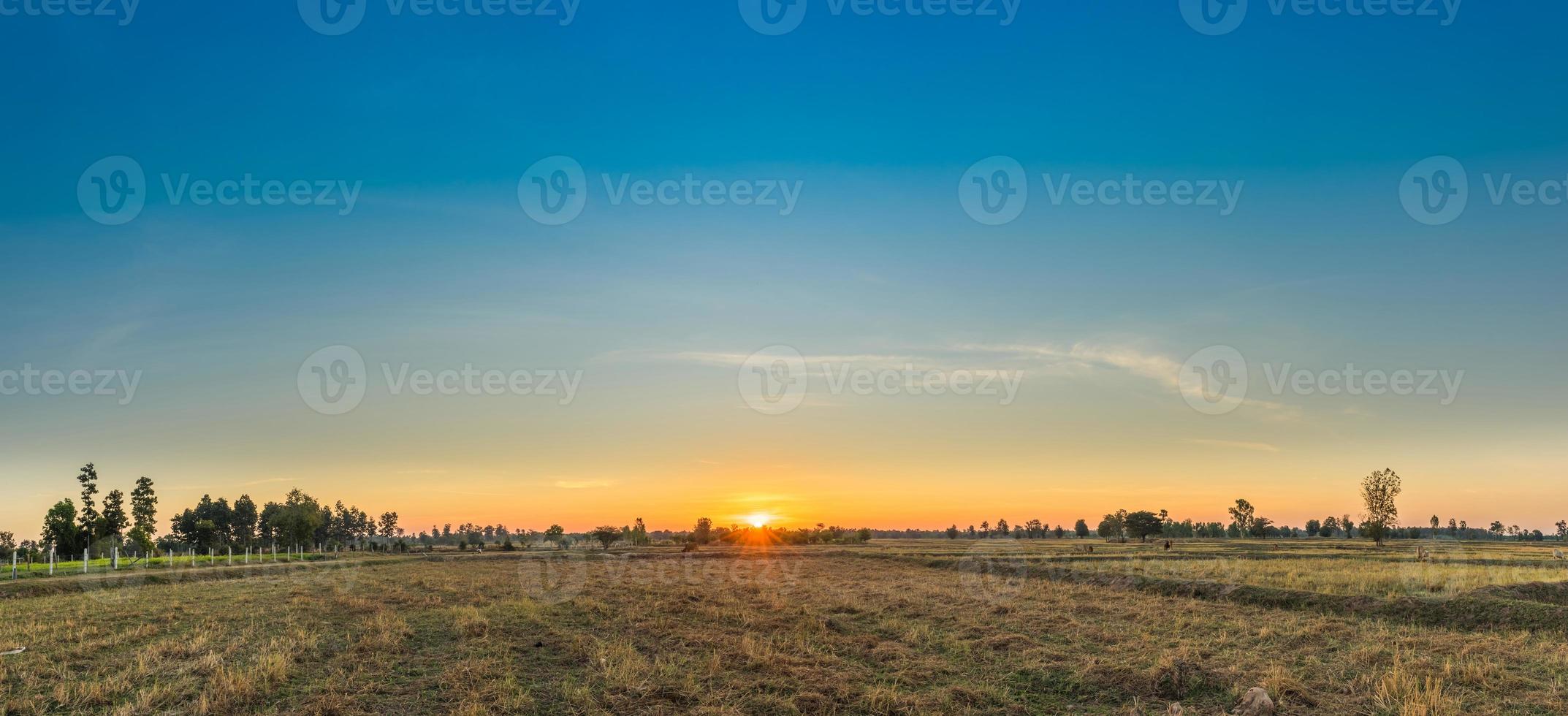 ländliche landschaft die felder bei sonnenaufgang morgens und schöner himmel foto