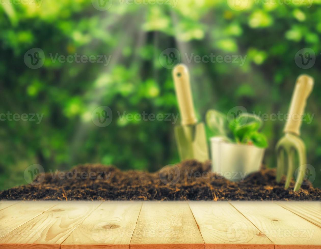 altes Holz oder Fußböden und Pflanzen im Garten. Pflanzen einer kleinen Pflanze auf einem Erdhaufen mit Gartengeräten auf grünem Bokeh-Hintergrund. foto