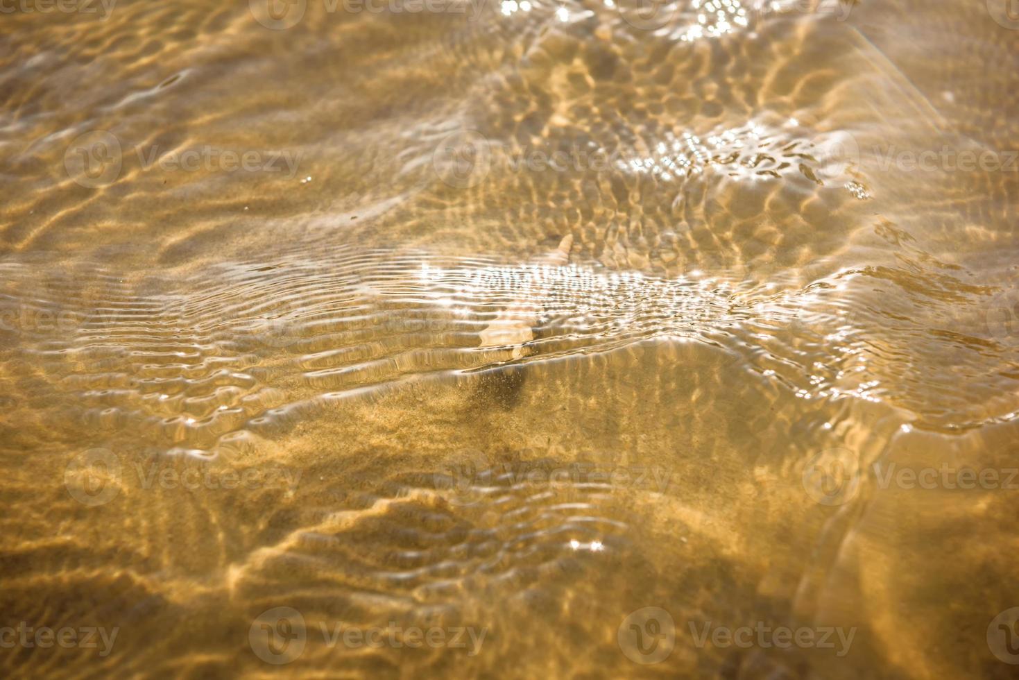 Muschel am Sandstrand und Welle auf Draufsicht foto