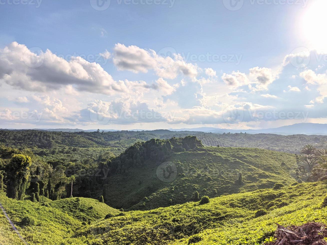 Landschaft, grüne Hügel, schöner klarer Himmel foto