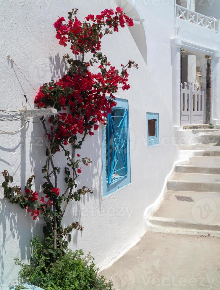 traditionelle Architektur des Dorfes Oia auf der Insel Santorini, gre foto