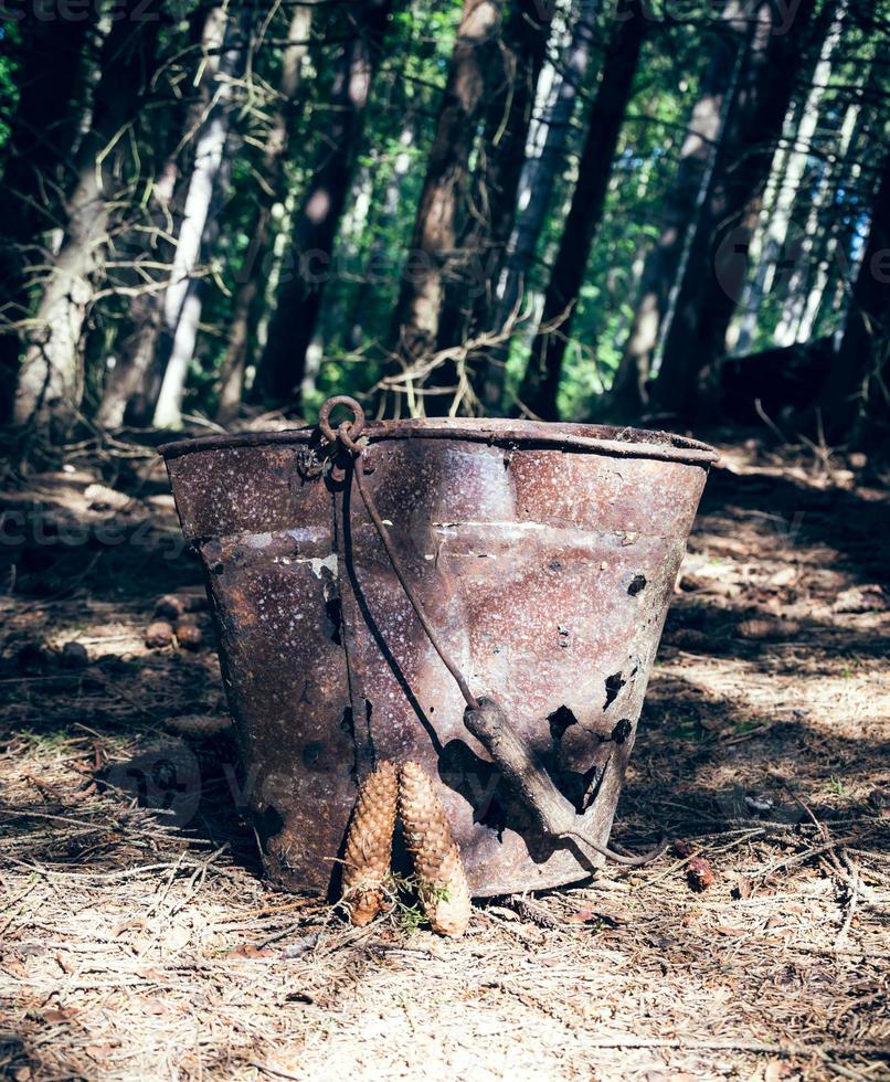 alter Metalleimer in einem Wald foto