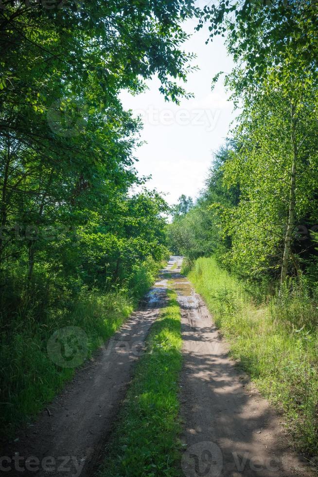 Wege in der Natur ii foto