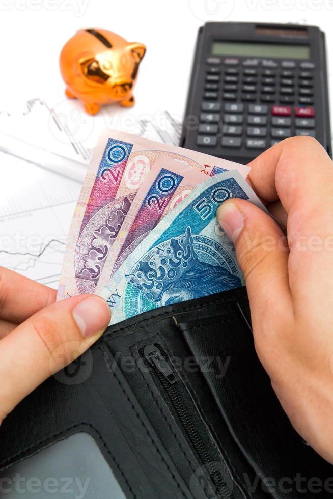 polnische Notizen in der Brieftasche. Finanz- und Ertragszusammensetzung foto