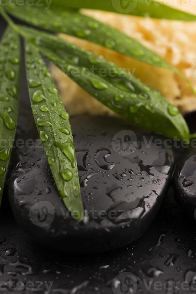 grünes Blatt auf Spa-Stein auf nasser schwarzer Oberfläche foto