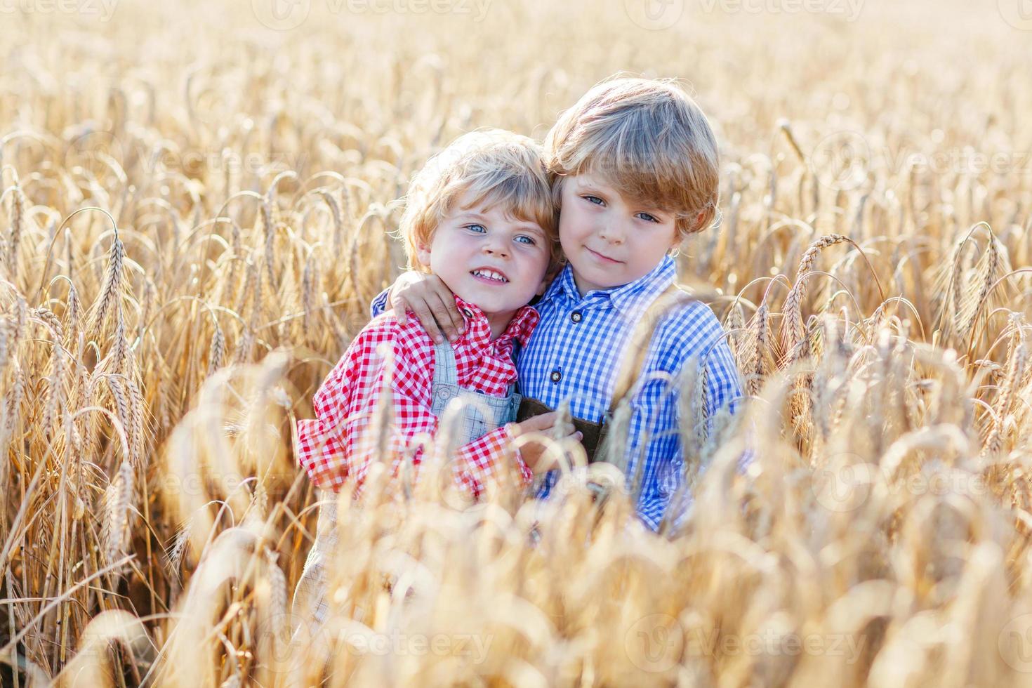 zwei kleine Geschwisterjungen, die Spaß auf Weizenfeld haben foto