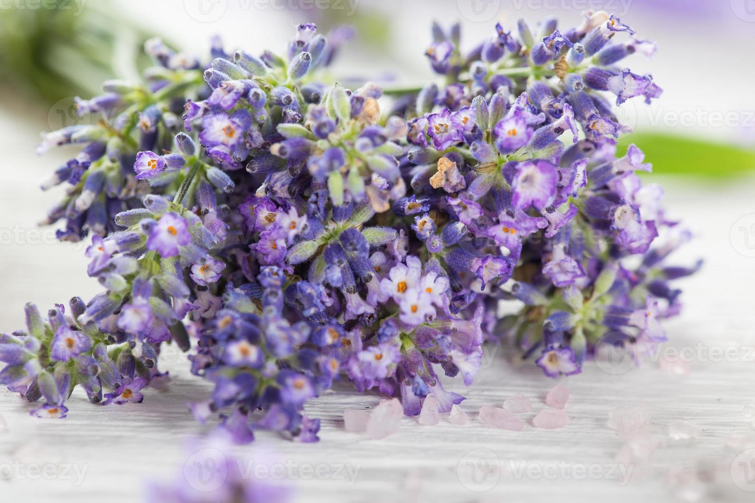 Lavendelblüten mit ätherischem Öl. Spa- und Wellnesskonzept. foto