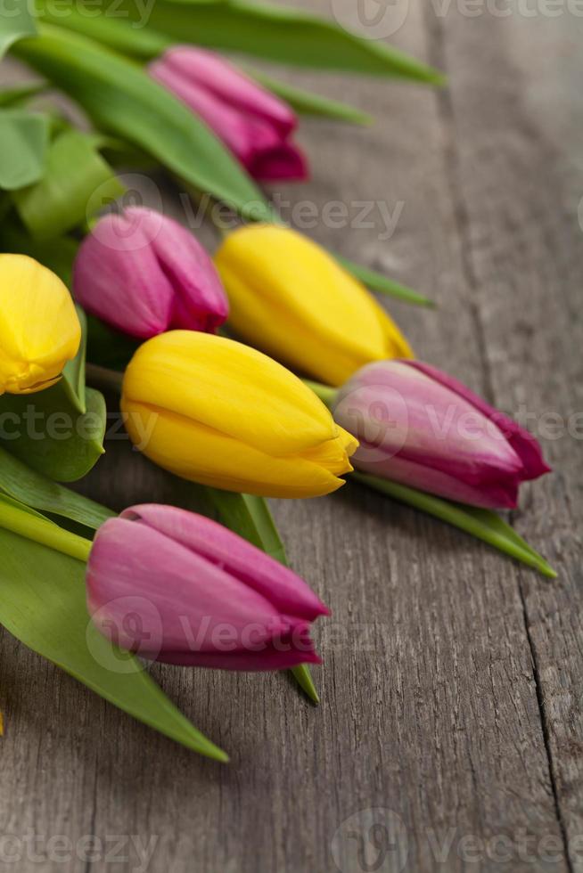 Strauß Tulpen foto