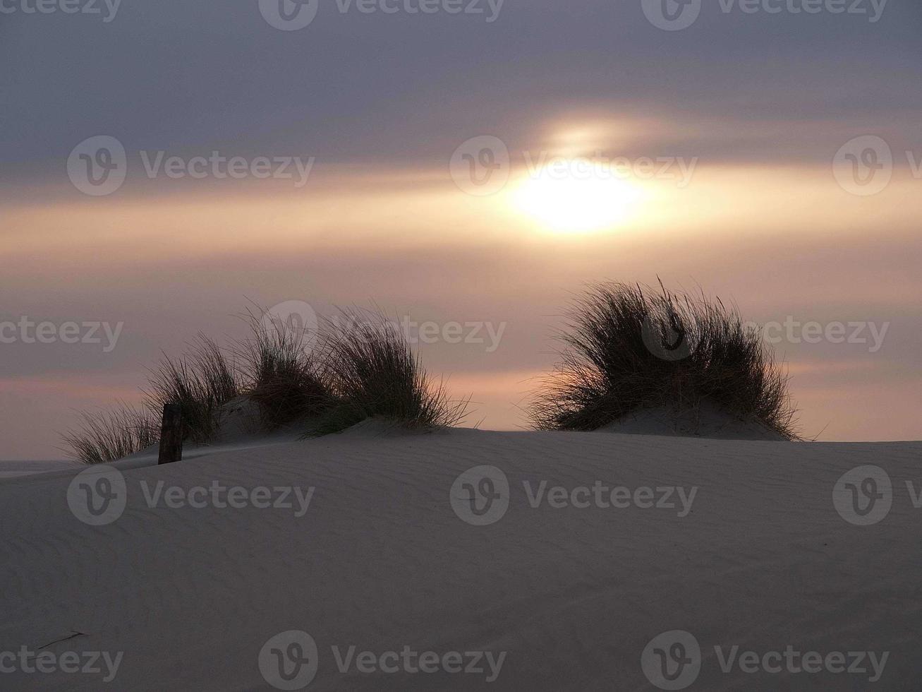 die insel borkum foto