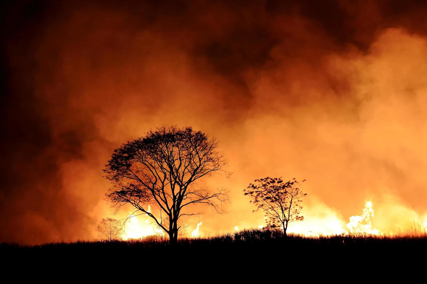 Buschfeuer, das orange und roten Rauch brannte, erfüllten nachts den Himmel. foto