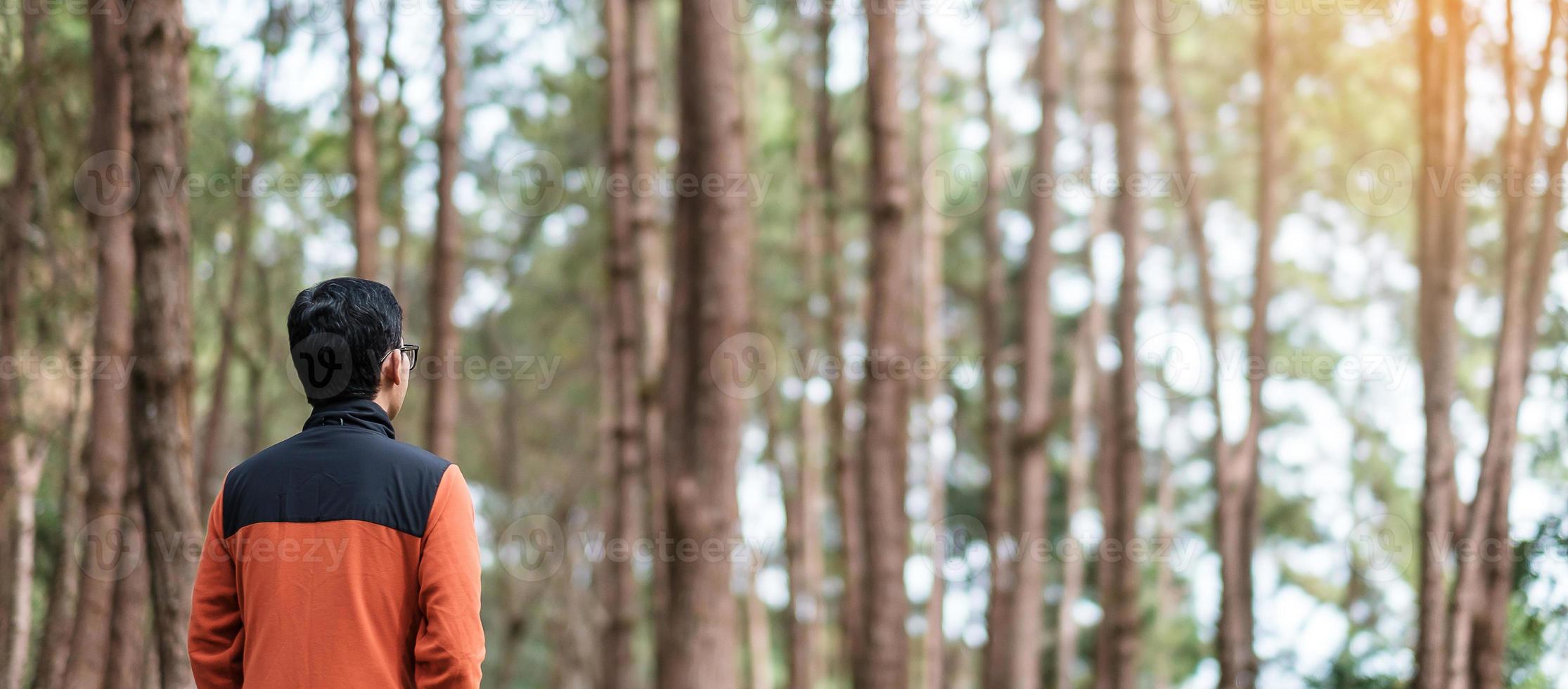 glücklicher reisender mann stehend und schauender kiefernwald, alleintourist in orangefarbenem pullover, der in pang oung, mae hong son, thailand reist. reise-, reise- und urlaubskonzept foto