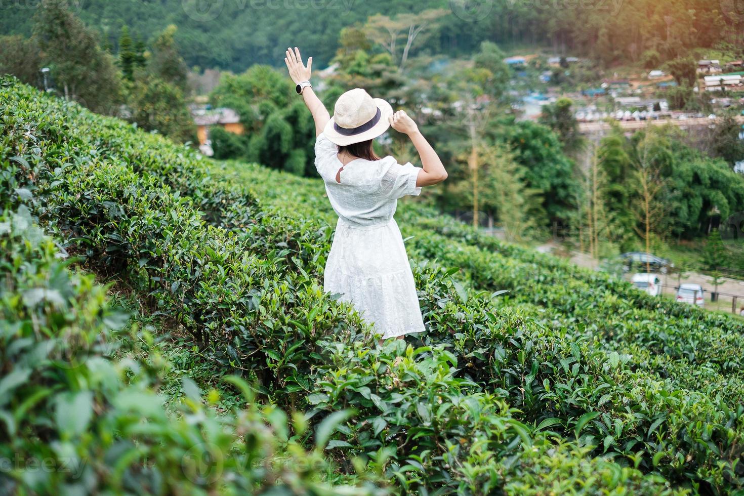 glückliche touristenfrau im weißen kleid genießen schönen teegarten. reisenderbesuch im thailändischen dorf ban rak, mae hong son, thailand. Reise-, Urlaubs- und Urlaubskonzept foto