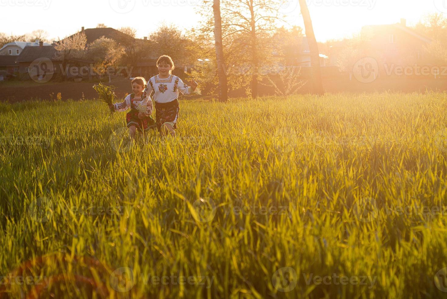 zwei kleine Mädchen, die im hohen Grasfeld laufen foto