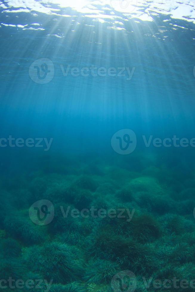 blauer Unterwasserhintergrund foto