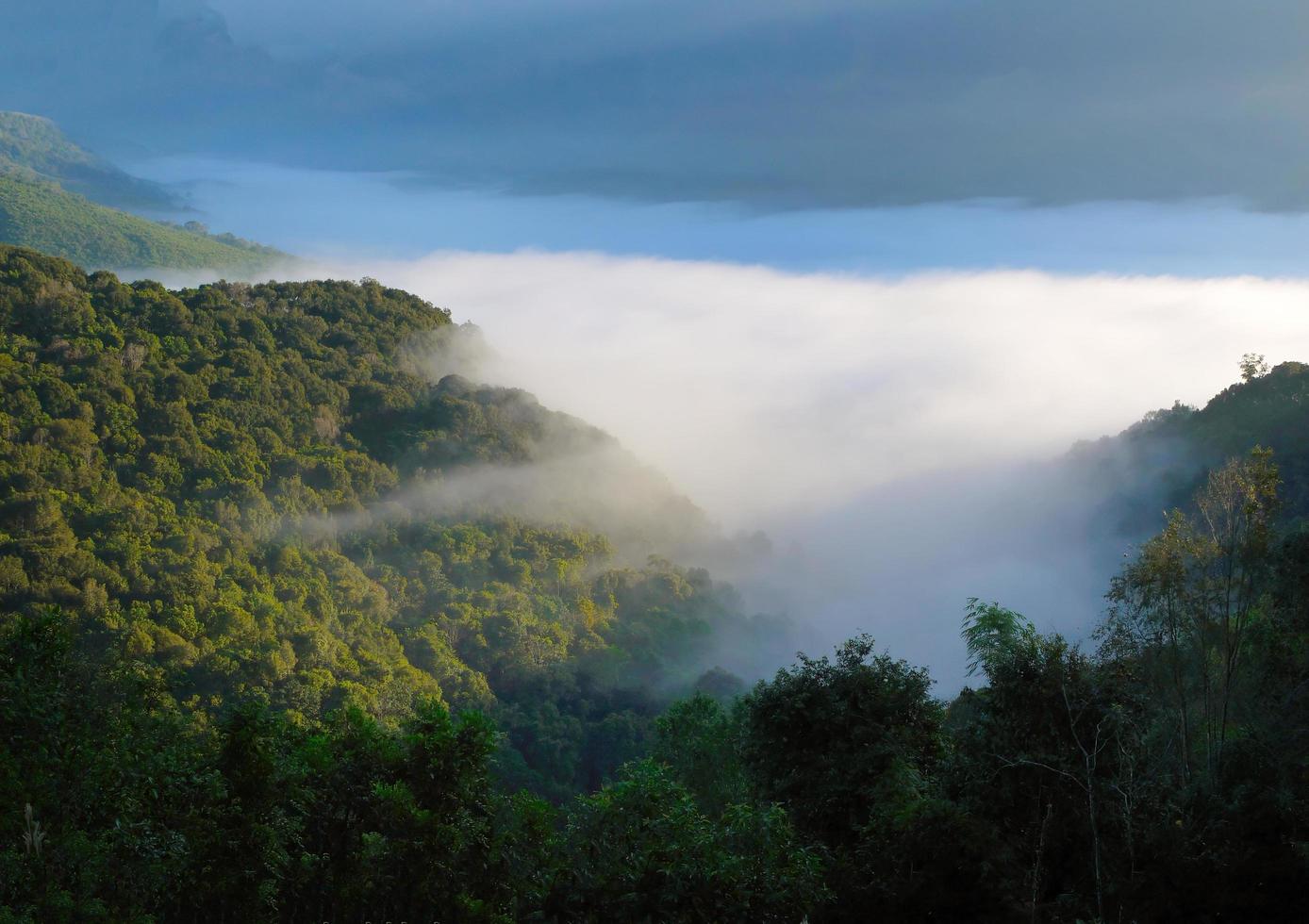 Landschaft des nebelbedeckten Berges am Morgen mit gewärmten Sonnenstrahlen für Hintergrundbilder foto