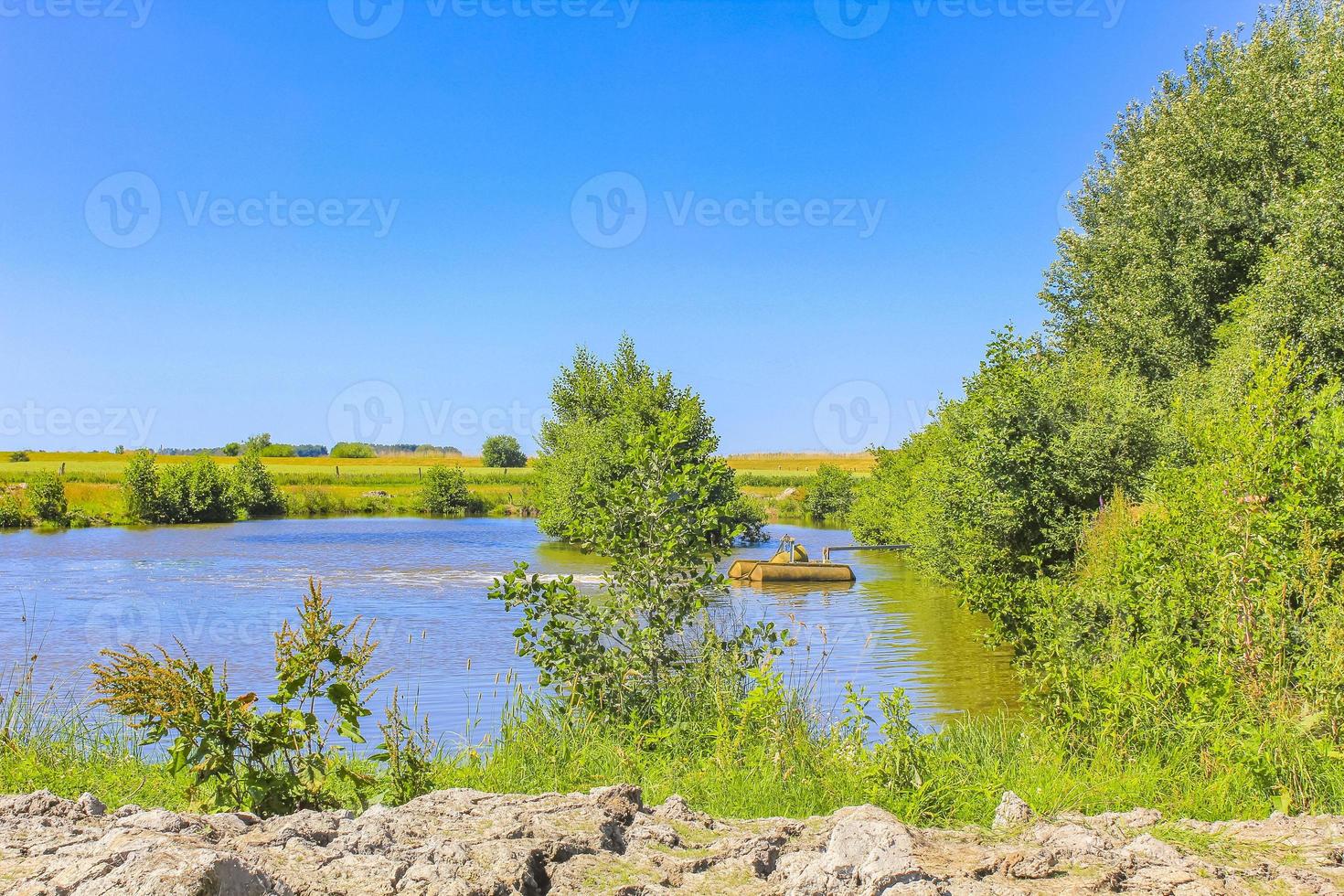 naturpanorama see teich grün pflanzen bäume wald deutschland. foto