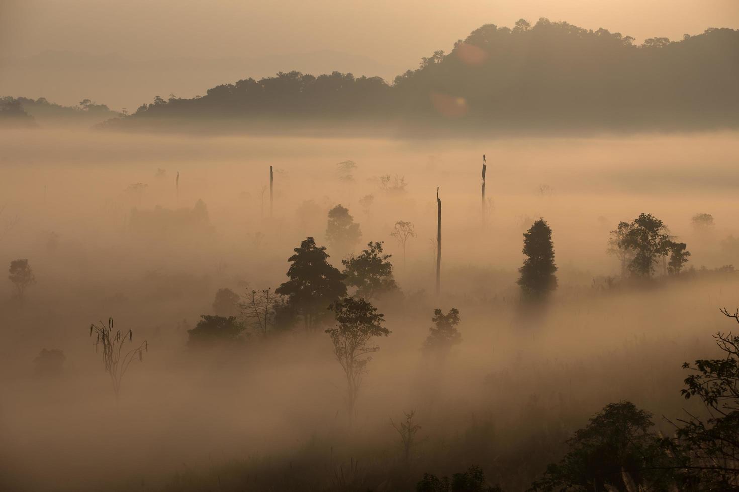 Nebelberg im Sonnenaufgang am frühen Morgen foto