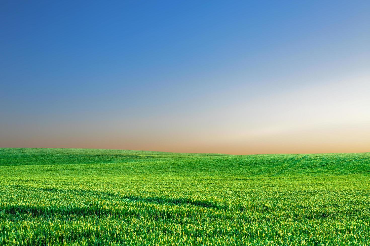 eine große wiese im hintergrund ist der himmel. Natur Hintergrundbild Konzept foto