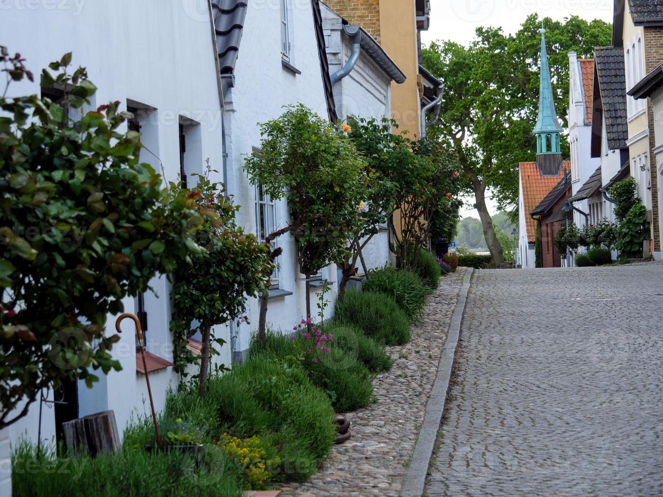 Maasholm an der Schlei in Deutschland foto