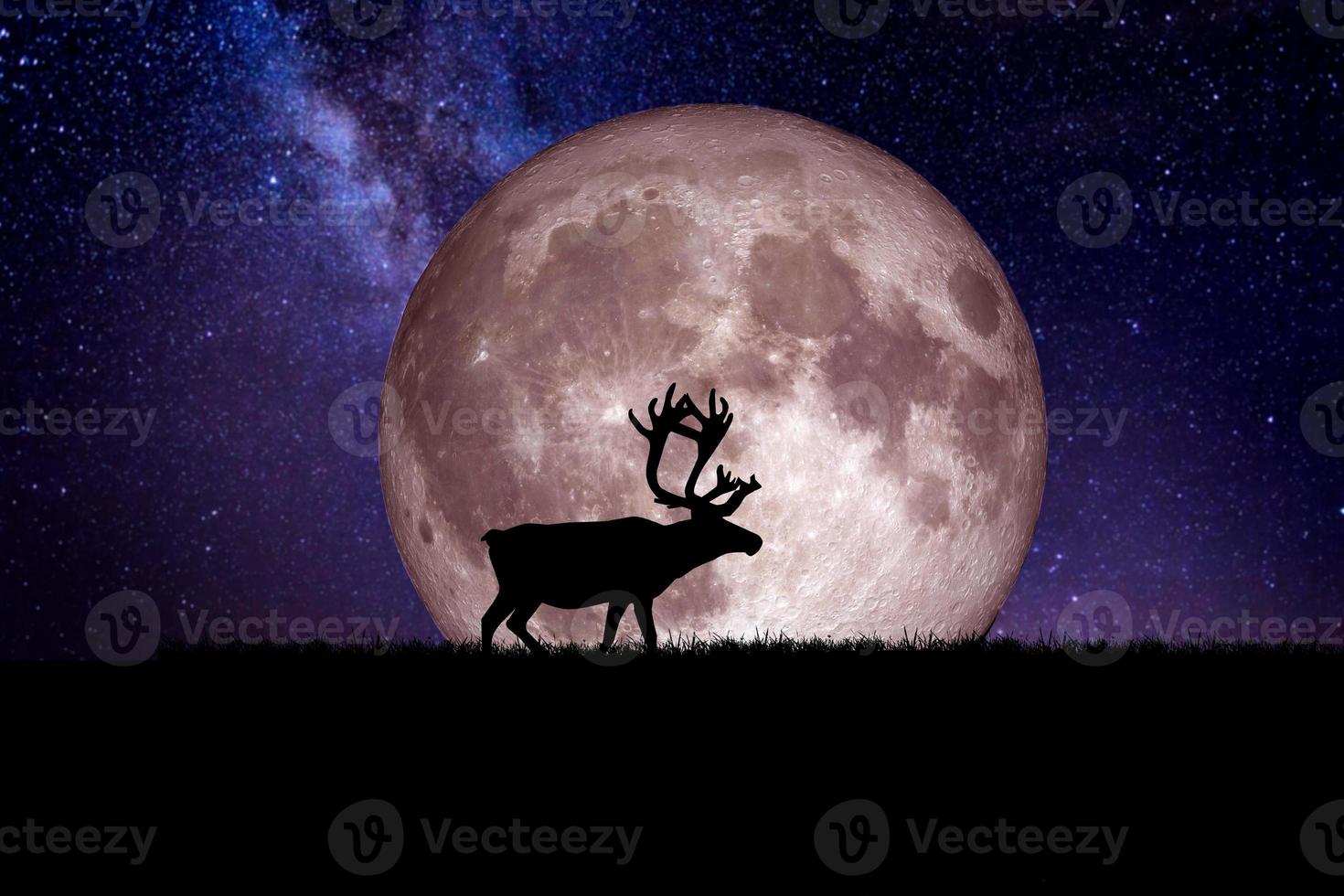 Nachthirsch-Silhouette vor dem Hintergrund eines großen Mondelements des Bildes wird von der Nasa geschmückt foto