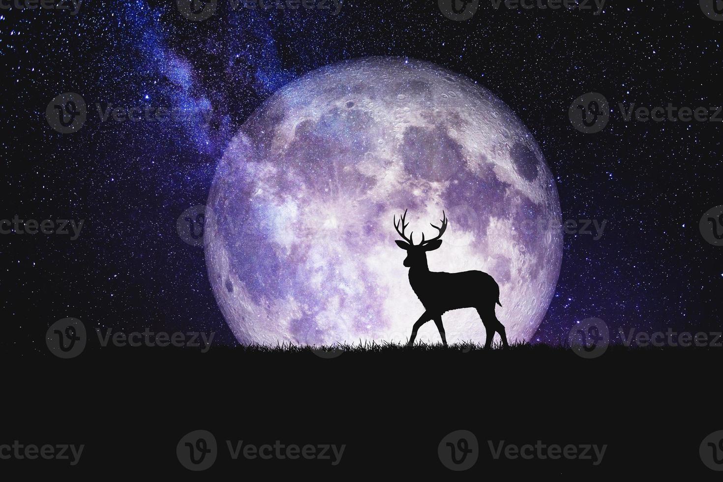 Nachthirsch-Silhouette vor dem Hintergrund eines großen Mondelements des Bildes wird von der Nasa geschmückt foto