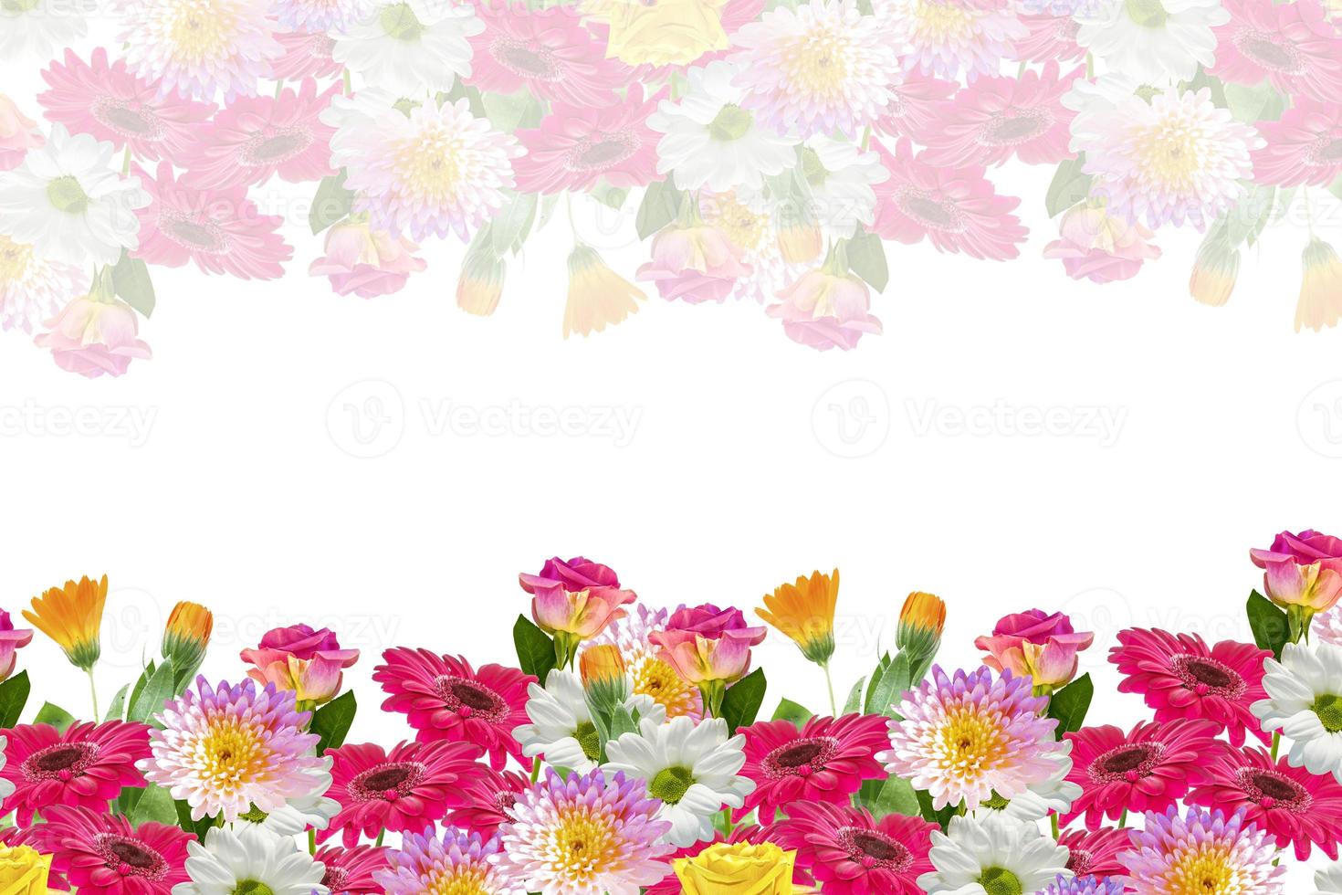Bunte lebendige Blumen von Chrysanthemen, Gerbera, Rosen isoliert auf weißem Hintergrund. foto