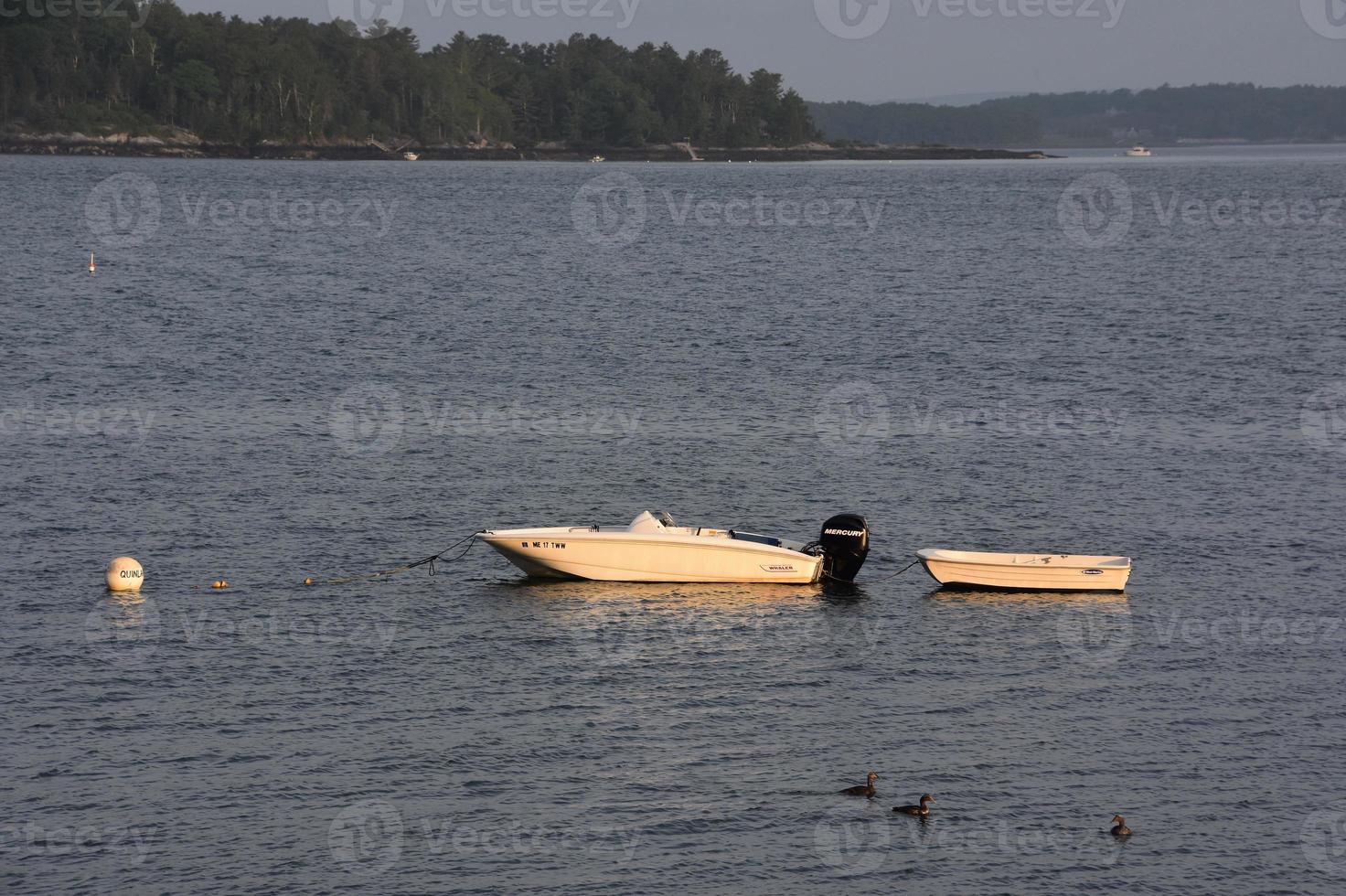 Walfänger mit einem Schlauchboot, das auf dem Rücken festgebunden ist foto